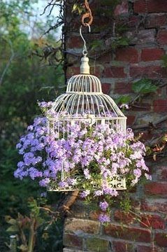 Top Super Hanging Flower Basket Ideas