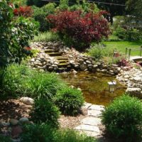 DIY Gardening: How To Make A Pond In Your Garden