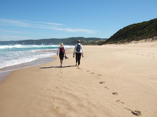 Exploring The Great Ocean Walk – What You Should Bear In Mind?